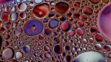 Abstract Colorful Food Oil Drops Bubbles and spheres Flowing on Water Surface photo