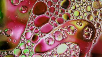 Abstract Colorful Food Oil Drops Bubbles and spheres Flowing on Water Surface photo