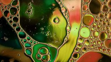 Abstract Colorful Food Oil Drops Bubbles and spheres Flowing on Water Surface photo