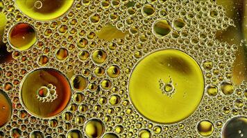 Abstract Colorful Food Oil Drops Bubbles and spheres Flowing on Water Surface photo