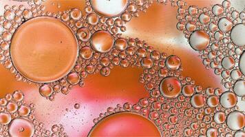 Abstract Colorful Food Oil Drops Bubbles and spheres Flowing on Water Surface photo