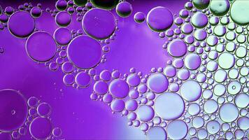 Abstract Colorful Food Oil Drops Bubbles and spheres Flowing on Water Surface photo