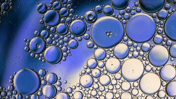 Abstract Colorful Food Oil Drops Bubbles and spheres Flowing on Water Surface photo