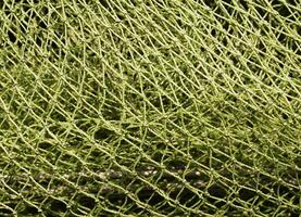 green mesh background. the texture of the net photo