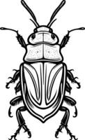 black and white illustration of a beetle photo