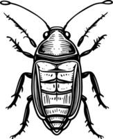 black and white illustration of a beetle photo