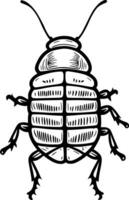 black and white illustration of a beetle photo