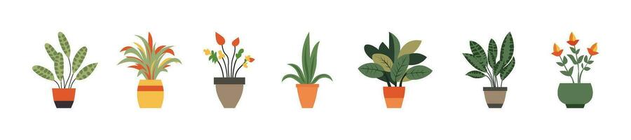 Set collection of houseplants in clay pots for home, office, indoor decoration flat illustration vector