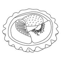 Fruit Pie outline vector illustration