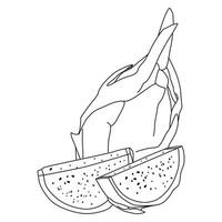 Dragon fruit outline vector illustration, suitable for coloring book, icon and graphic design elements