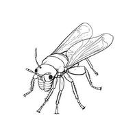 Insect Vector Images, Icons and Illustration