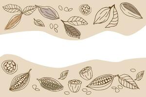 cocoa beans background for banner and wrapping vector