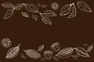 Cocoa beans sketch background on dark color vector