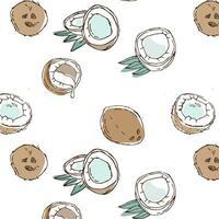 sketch coconuts food seamless background vector