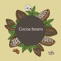 cocoa beans background with round frame vector