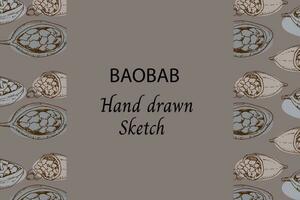 baobab beans sketch outline background on dark vector