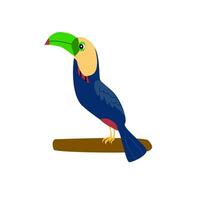 cute tropical bird toucan with green beak vector