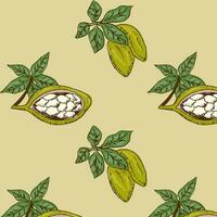 vector seamless pattern with baobab plant parts