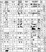Hieroglyphics vs Ancient Language, vintage illustration. vector