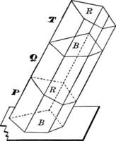 Oblique Prism Truncated Into 3 Sections vintage illustration. vector