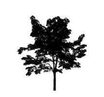 Tree silhouette for brush on white background. photo