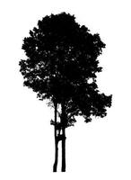 Tree silhouette for brush on white background. photo