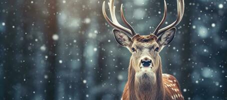 AI generated A reindeer in the jungle. Dramatic scene. Generative Ai. photo