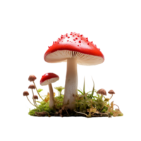 AI generated red mushroom on transparent background PNG image