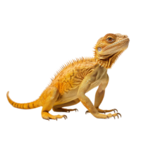 AI generated iguana on transparent background PNG image