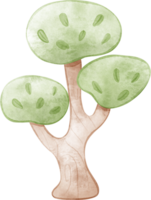 ilustración de árbol de acuarela png