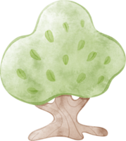 watercolor tree illustration png