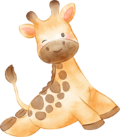 watercolor giraffe illustration png