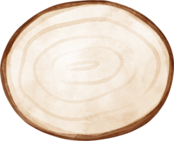aguarela de madeira placa círculo ilustração png