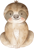 bicho-preguiça aguarela ilustração png