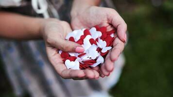 papel picado de rojo y blanco corazones en el manos de un muchacha. video