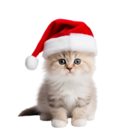 AI generated Cute Kitty Cat with Christmas Hat No Background Perfect for Print on Demand Merchandise png