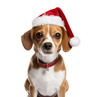 AI generated Artistic Realistic Style Cute Puppy Dog with Christmas Hat No Background Perfect for Print on Demand Merchandise png