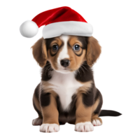 AI generated Artistic Realistic Style Cute Puppy Dog with Christmas Hat No Background Perfect for Print on Demand Merchandise png