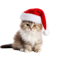 AI generated Cute Kitty Cat with Christmas Hat No Background Perfect for Print on Demand Merchandise png