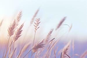 an image of some tall grass in front of a blue sky generative ai photo