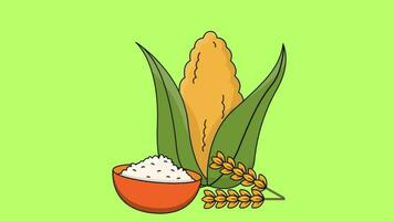 2d animated rice video