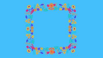 animated floral ornament in blue background video