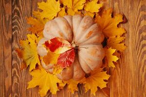 Flat lay of a ripe round pumpkin and autumn leaves. photo