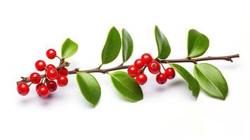 AI generated Christmas Mistletoe Isolated on the White Background photo