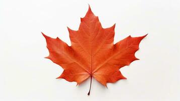 AI generated Maple Leaf Isolated on the White Background photo