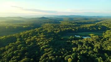 ai generado hermosa verde bosque paisaje con dorado hora hora foto