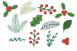 Set of hand drawn winter botany elements isolated on white background. Branches, berries and holly. Collection of elements for Christmas decorations. Vector illustration.