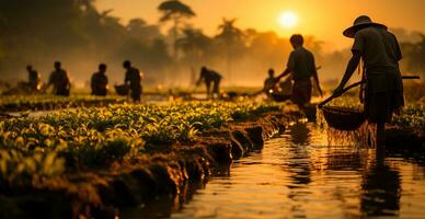 AI generated Rice harvesting on a plantation in Vietnam - AI generated image photo