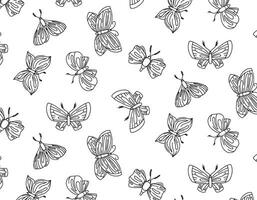 Vector insect moth pattern, line style illustration, doodle vector. Pattern .