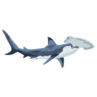 wild shark image png